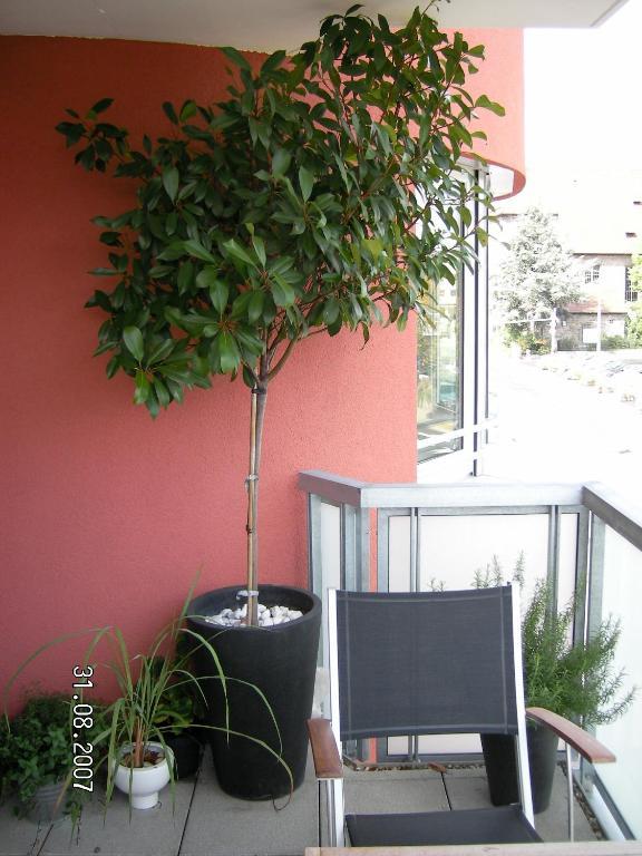 Appartement Am Salamanderpark 코른베스트하임 외부 사진
